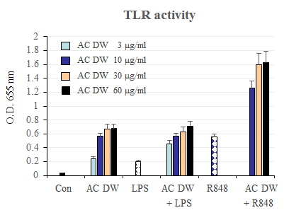 아출 열수추출물의 TLRs 활성 증강 효능 검증