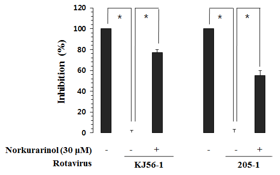 JSC로부터 분리된 norkurarinol의 rotavirus에 대한 항바이러스 효과