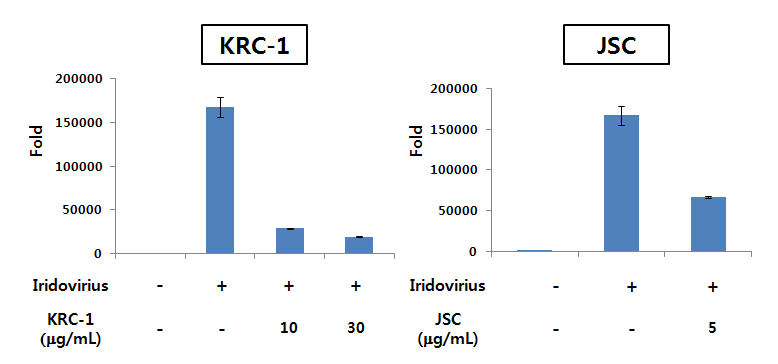 Real-time RT-PCR을 이용한 생물소재 KRC-1과 JSC의 이리도바이러스 RNA 복제 억제 효과