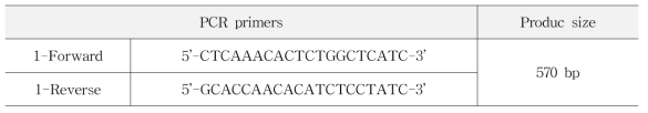 검사 시 사용된 PCR primers