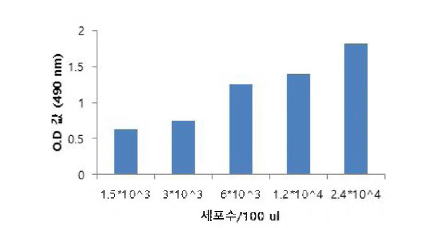 고농도 포도당에서 INS-1의 세포 수 결정