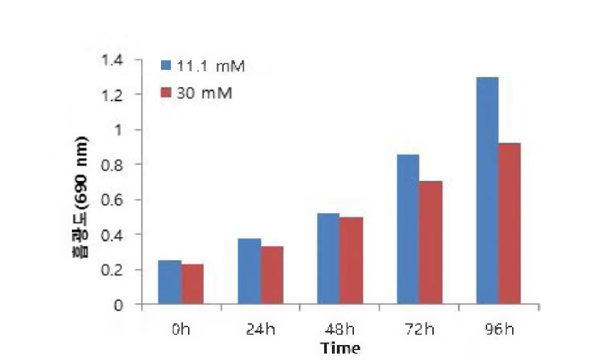 고농도 포도당에서 시간에 따른 INS-1의 세포 생존율