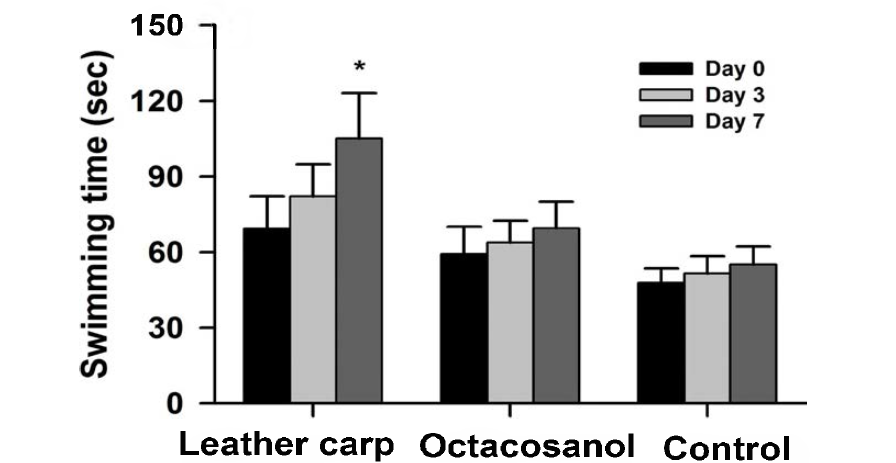 향어 추출물, 옥타코사놀, 식염수 투여 7일후의 강제 수영 부하 실험을 수행한 결과. 실험은 각 투여 1시간 후에 수행되었다. *P< 0.05