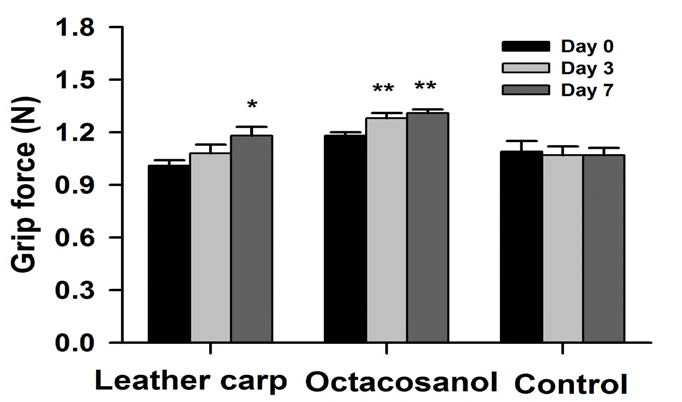 향어추출물, 옥타코사놀, 식염수의 투여 7일후의 쥐 악력을 측정한 결과 . 쥐들은 각 투여 1시간 후에 실험을 수행하였다. *P < 0.05 및 **P < 0.01.
