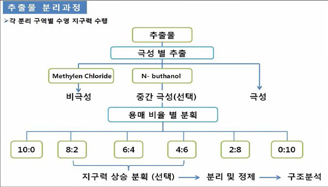 추출물의 전체적인 분리 과정 계획