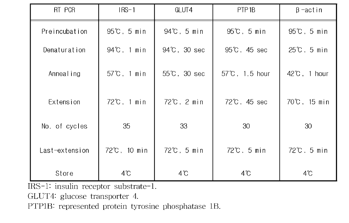 Reverse transciption PCR conditions in C2C12 cells.