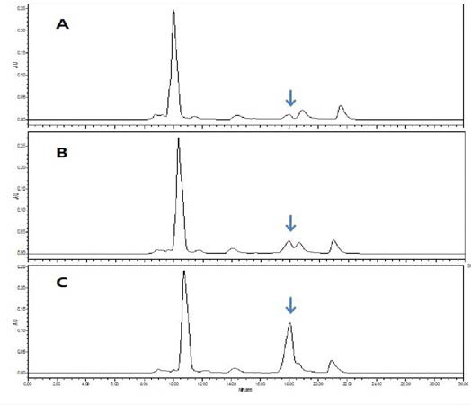RP-HPLC에서 향어 열수추출물과 시약 nicotinamide의 혼합물 profile . A=buthanol 추출 물 30 ul，B = buthanol 추출 물 30 ul + 20 ul nicotinamide (0.04 mg/mL).