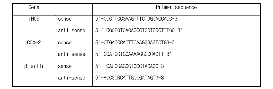 Sequences of the primers used for RT-PCR analysis in this study.