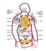 인체 CORE 보온요소