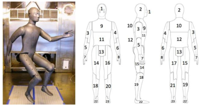 23개 계측부위를 갖는 써멀 마네킨 “NEMO”