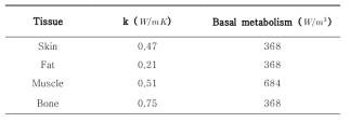 Parameters of human model