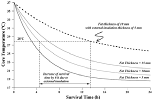 체지방 두께에 따른 체온변화