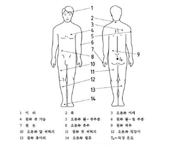 신체 온도 측정 위치