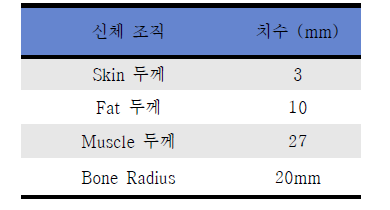 신체 부위의 치수