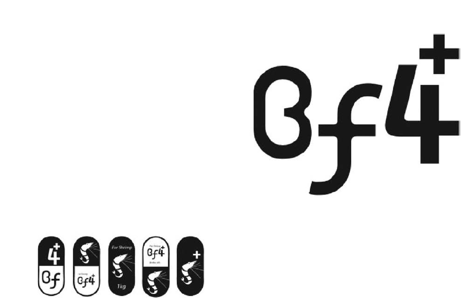 C type BF4+ 디자인 시안