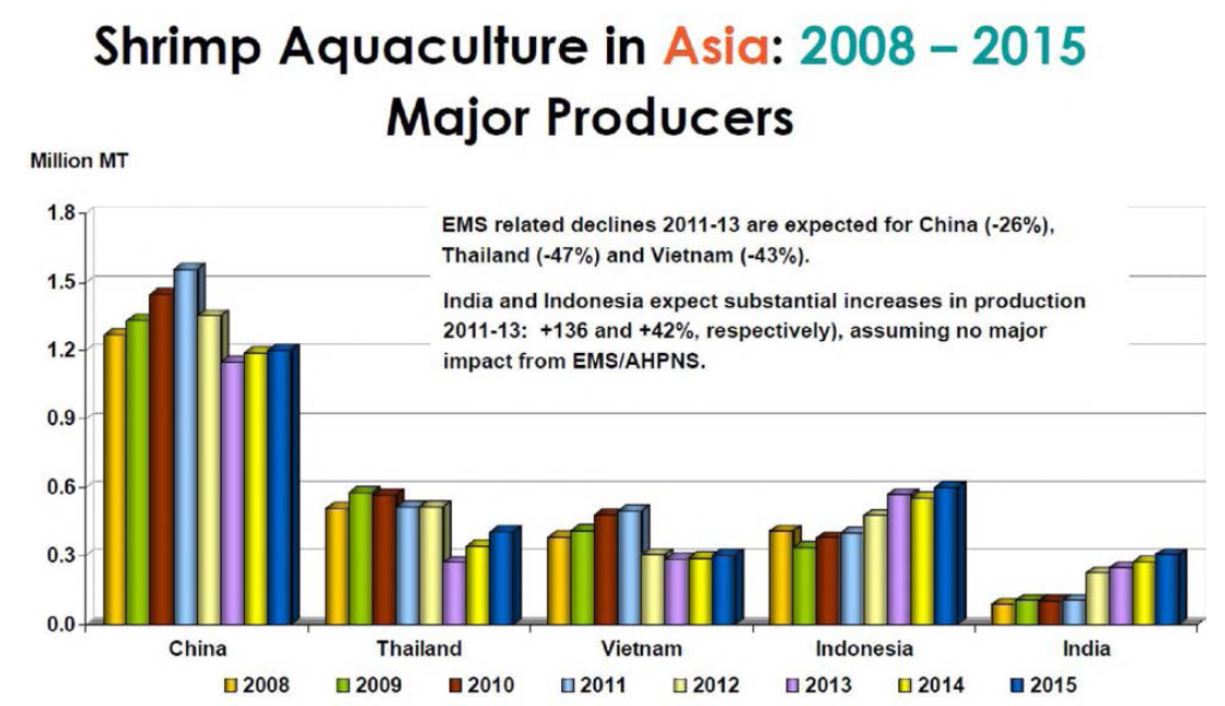 아시아의 주요 양식 새우 생산국