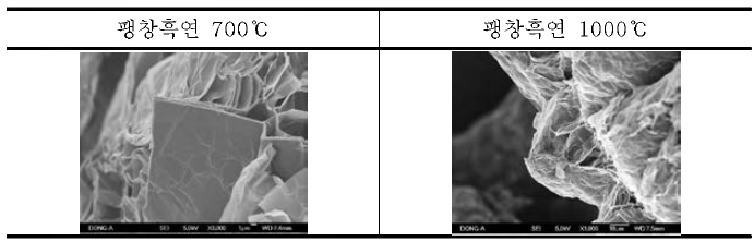 E/Gr/pAO (700℃, 1000℃) SEM 이미지 분석