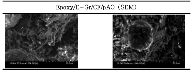 Epoxy/E-Gr/CF/pAO SEM 이미지 분석