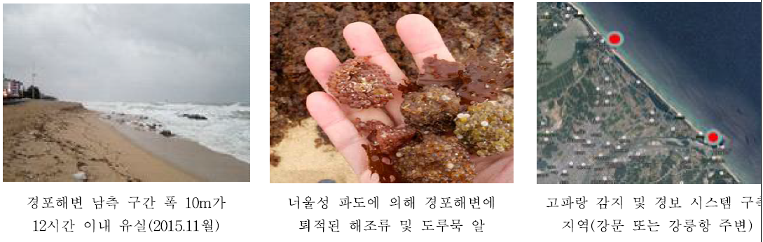 너울성 파도, 고파랑 관련 사진