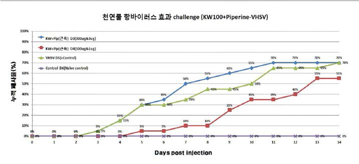 후보 생물소재 KW -100+Piperine의 항바이러스 효능 검증