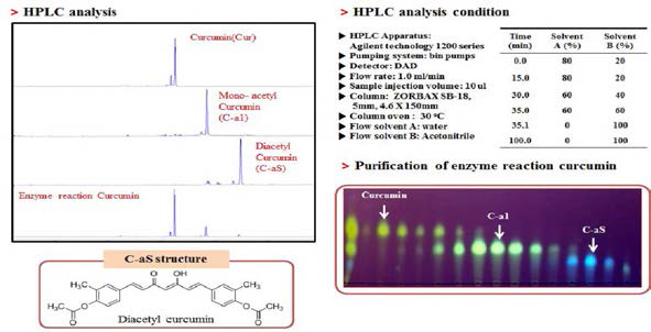 Lipase를 활용한 KW -100의 아세틸화 HPLC 분석 .