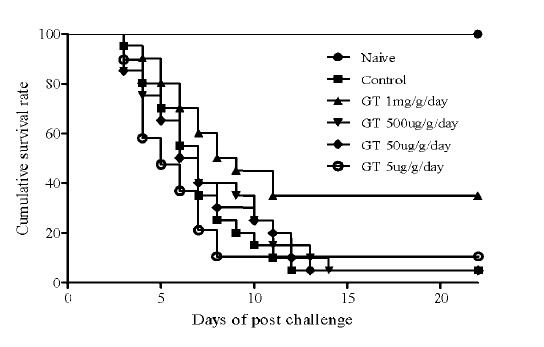 Survival of olive flounder fed pellet mixed with GT with 5 ug(○),50 ug(◆),500ug(▼)and 1mg/g body weight/day (▲) for 1 week before VHSV injection.