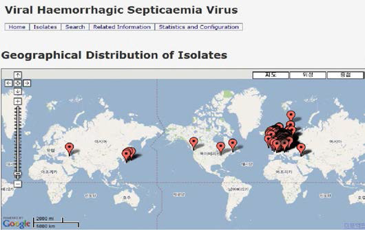 분리되어진 바이러스성 출혈성 패혈증 분포도.
