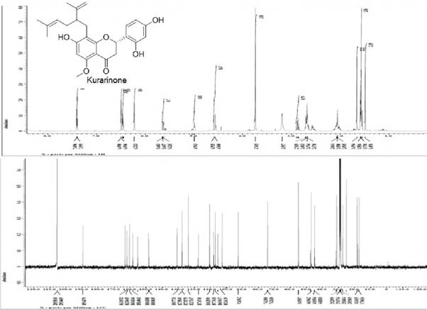 화합물 3 (kurarinone) 의 1H , 13C-NMR 스펙트럼