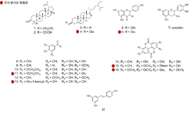 개머루덩굴로부터 분리된 지표 화합물 (1 - 17)