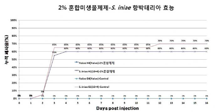 후보 생물소재 2% 흔합미생물제제의 항박테리아(S. iniae) 효능 검증