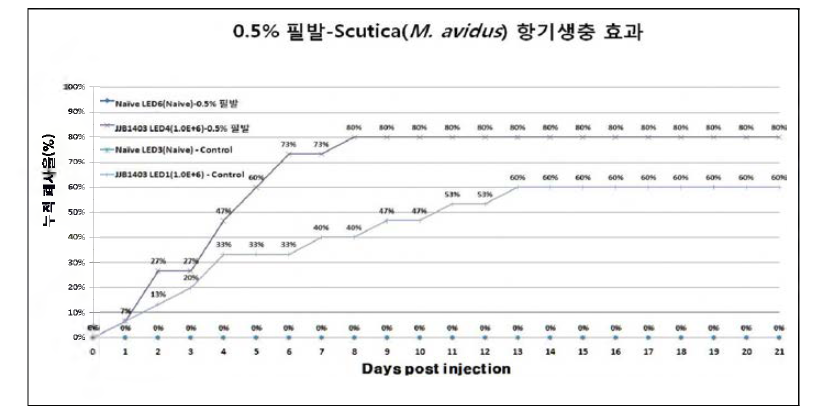 후 보 생물소재 0.5% 필발 제제의 항기생충 (scutica, M . avidus) 효능 검증