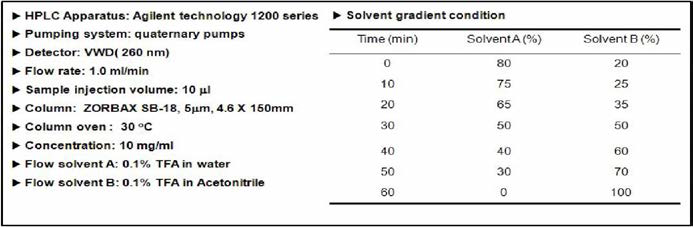 HPLC 조건 및 기울기용리 조건