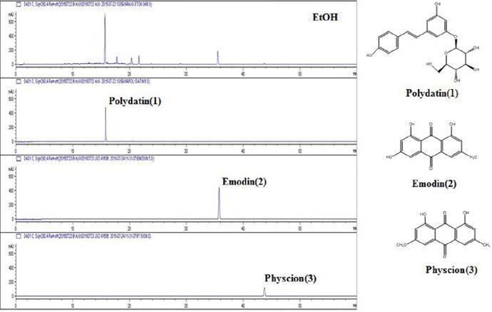 호장근 추출물 및 대사체의 HPLC.