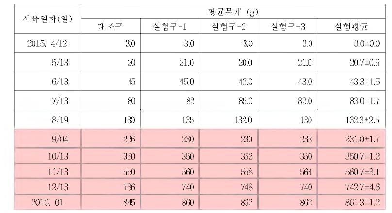 생물소재 혼합제제 [(KW-100/KC-10)+(필발 /ST-100)]를 활용한 사육 일자별 평균 무게 측정 결과