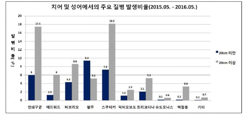 크기(치어 및 성어 )에 따른 주요질병 발생비율(복합감염 진단 건 포함).