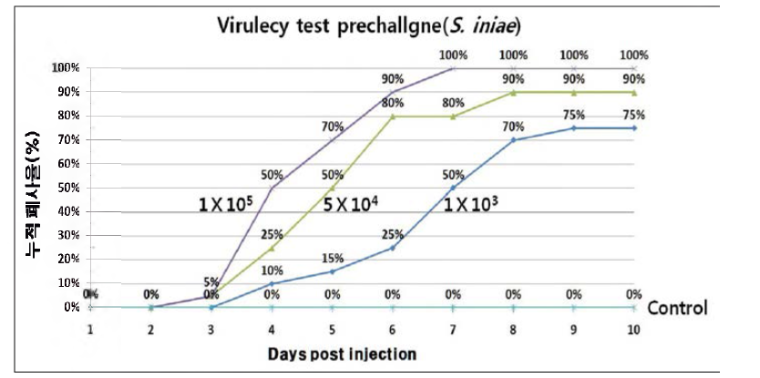 S. fmbe의 Virulency test를 위한 prechallenge 결과,