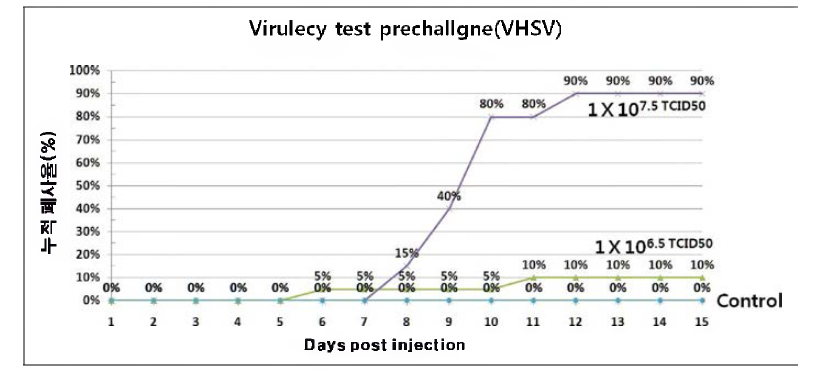 VHSV의 Virulency test를 위한 prechallenge 결과.