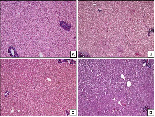 Histology of 6 weeks after supplemented with MarineStar in olive flounder.