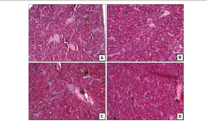 Histology of 6 weeks after supplemented with MarineStar in olive flounder.