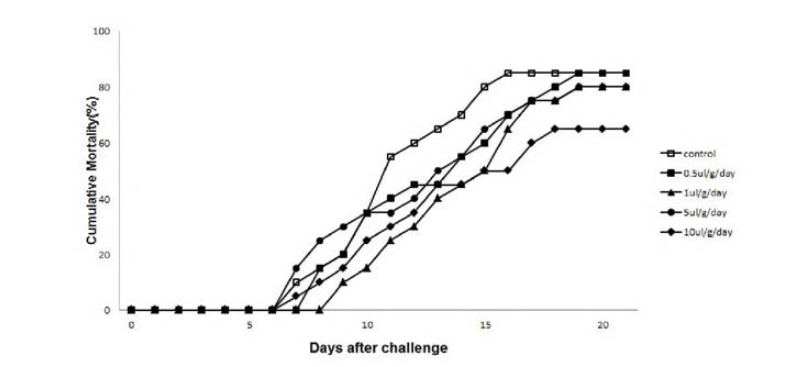 Mortalirty rates of olive flounder fed pellet mixed with MarineStar for 2 week before VHSV injection (5 x 106