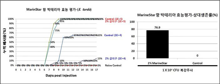 생물소재 MarineStar의 항 박테리아 효능 검증 -누적폐사율 및 상대생존률