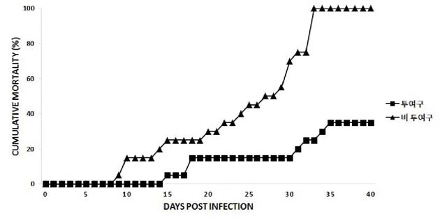 Mortality curve of olive flounder by VHSV injection (1x106.8TCID50/ml)after fed pellet mixed with MarineStar for 5 weeks in culture farm in Wando.