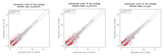 Scatter plot of contigs to show diffferential expression in the kidney of olive flounder fed pellet mixed with M Kribb-1 for 2 weeks