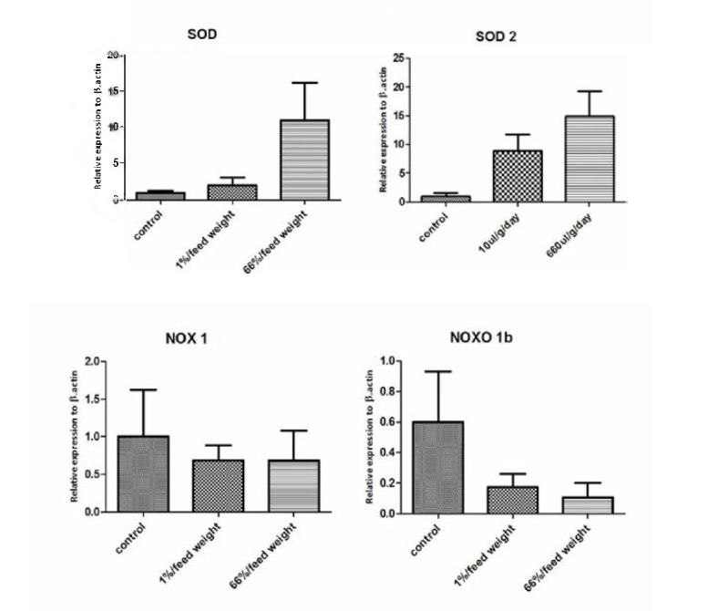 Relative expression of SOD , SOD 2 and Nox 1, Noxo lb in the kidney of olive flounder in control group and MarineStar administrated group.