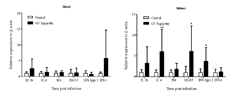 Relative gene expressions of im m une related genes in the kidney and blood after 7 days oral administrations with 5ug/g body w eight/day of GT extract.