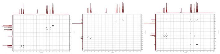 BLB6-1 의 2D-NMR (1H-1H COSY, HSQC, HMBC ) 스펙트럼