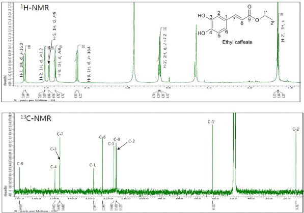 ethyl caffeic acid의 1H, 13C-NMR 스펙트럼