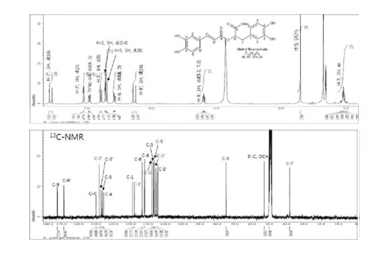 methyl rosmarinic acid의 1H, 13C-NMR 스펙트럼