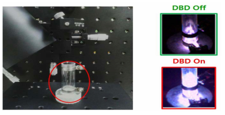 DBD 반응기 내에 놓인 시편에서 방출되는 빛의 강도 비교시험 (DBD 반응기를 on 시켰을 때와 off 시켰을 때와의 비교)