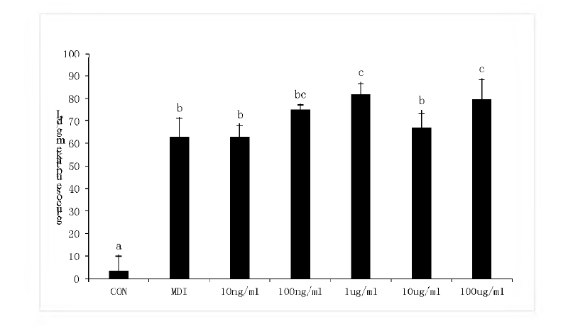 Effect of carnosine on glucose uptake in differentiated 3T3—L1 adipocytes.